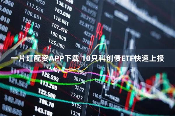 一片红配资APP下载 10只科创债ETF快速上报