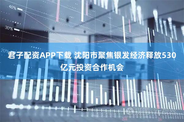 君子配资APP下载 沈阳市聚焦银发经济释放530亿元投资合作机会