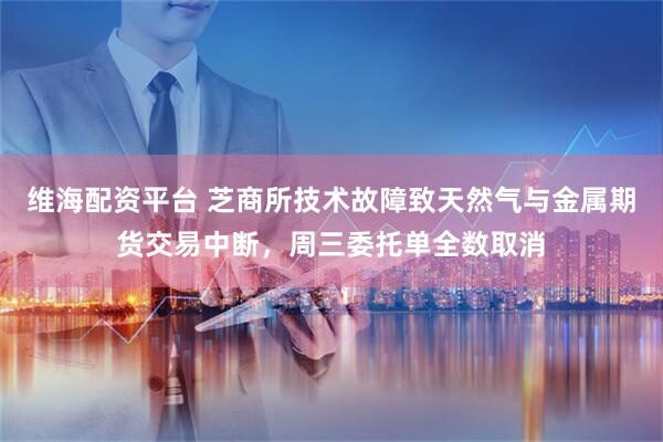 维海配资平台 芝商所技术故障致天然气与金属期货交易中断，周三委托单全数取消